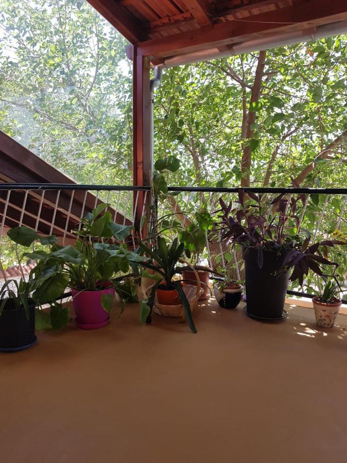 Apartmani Corleone Bilice Kültér fotó